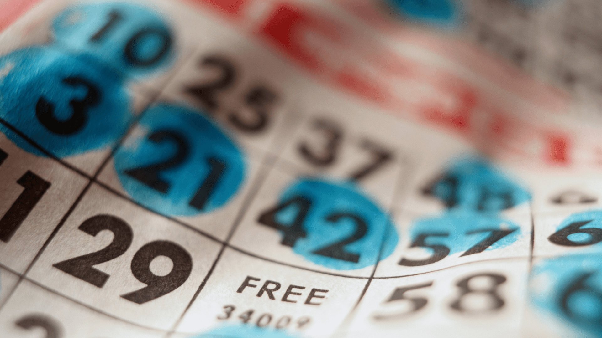 Viskas apie internetines bingo korteles ir skambučius image