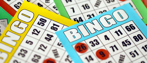Sužinokite, kaip žaisti bingo internete